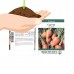 Parisian Carrot Seeds - 1 Oz - Non-GMO, Heirloom Vegetable Garden Seeds - Gardening - Mountain Valley Seeds   565454657